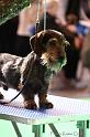 Crufts2011_2 770